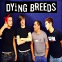 Unsigned Artist Dying Breeds