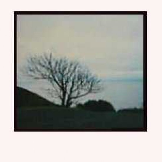 Click to view France.tree.at sea.2.white.bl.frame..jpg full size