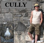 Cully