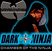 Dark Ninja Wu