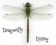 Dragonfly Dying