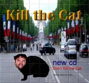 Kill The Cat