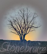 Stonebruise