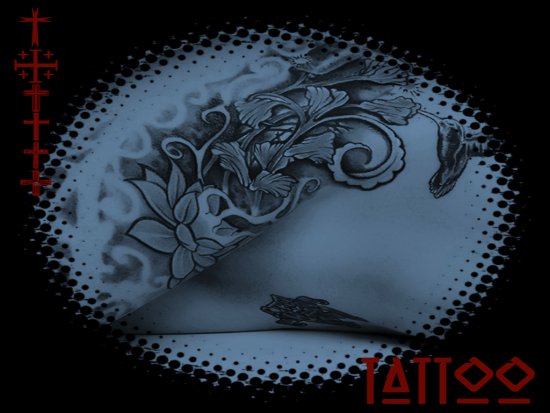 Click to view Tattoo CD Wall.jpg full size