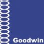 Goodwin - Song