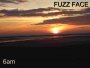 FUZZ FACE - 6am