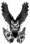 OWL - Arch Angel of DUI
