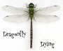 Dragonfly Dying - Bigger Than Before