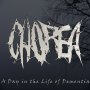 Chorea - A Day in the Life of Dementia