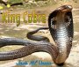 Jack MF Union - King Cobra
